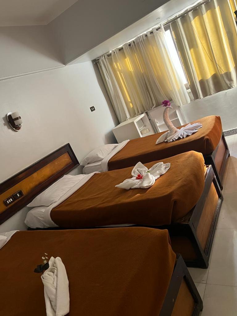 Oscar Hotel 아스완 외부 사진