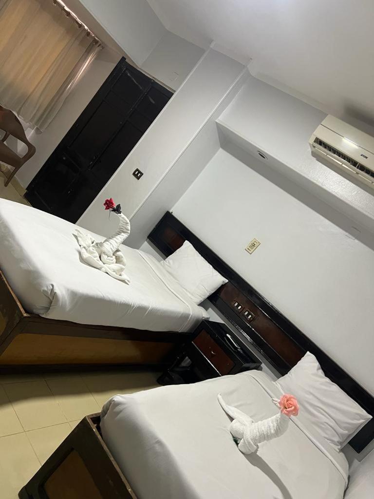 Oscar Hotel 아스완 외부 사진
